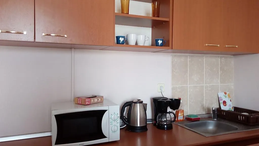 Bratianu Studio Apartment Bucureşti